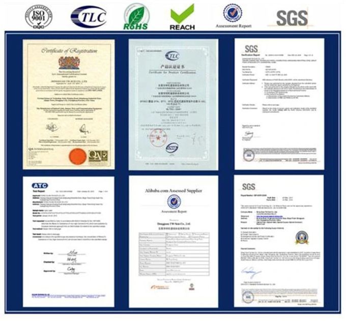 DONGGUAN TW-SCIE CO., LTD. Perfil de la empresa